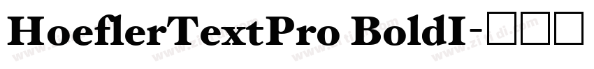 HoeflerTextPro BoldI字体转换
